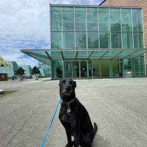 Meet your Posher, Maya